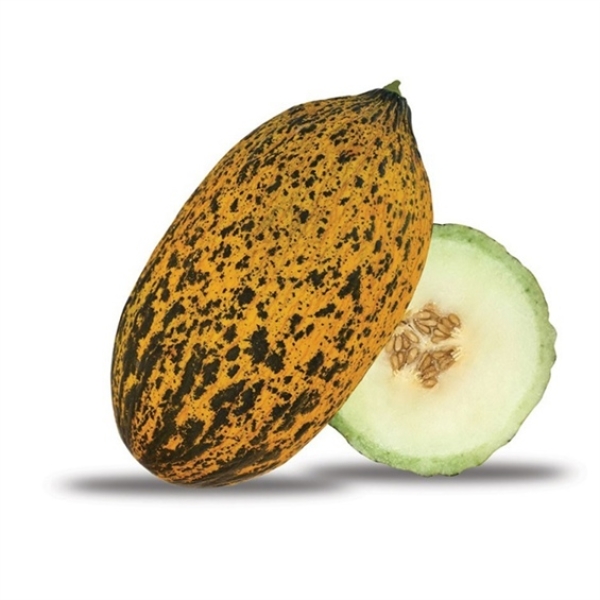 Honigmelonen